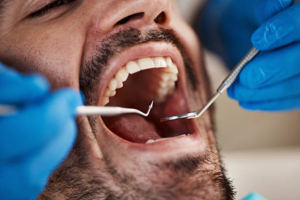 Best Weekend Emergency Dental Services in Rapid City, MI